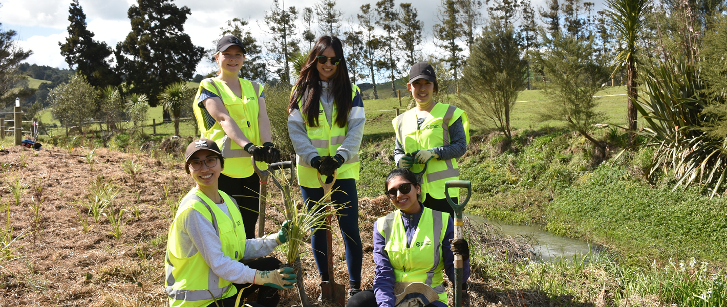 CNZ Stream Planting 1420x600px